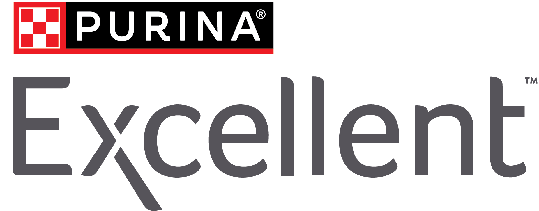 Logo 13