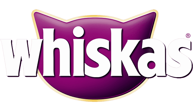 Logo 16