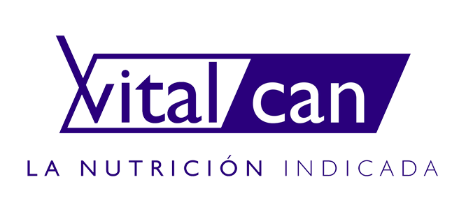 Logo 20